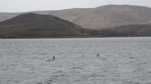 Ghoori Gol Wetland