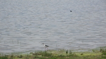 Ghoori Gol Wetland