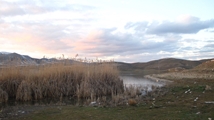 Ghoori Gol Wetland