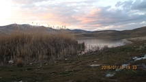 Ghoori Gol Wetland